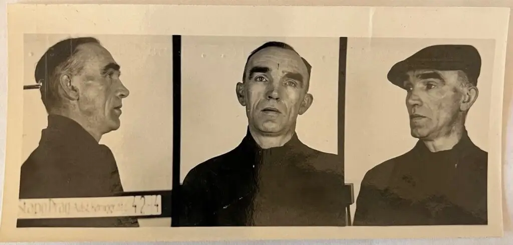 Schreiber Portrait