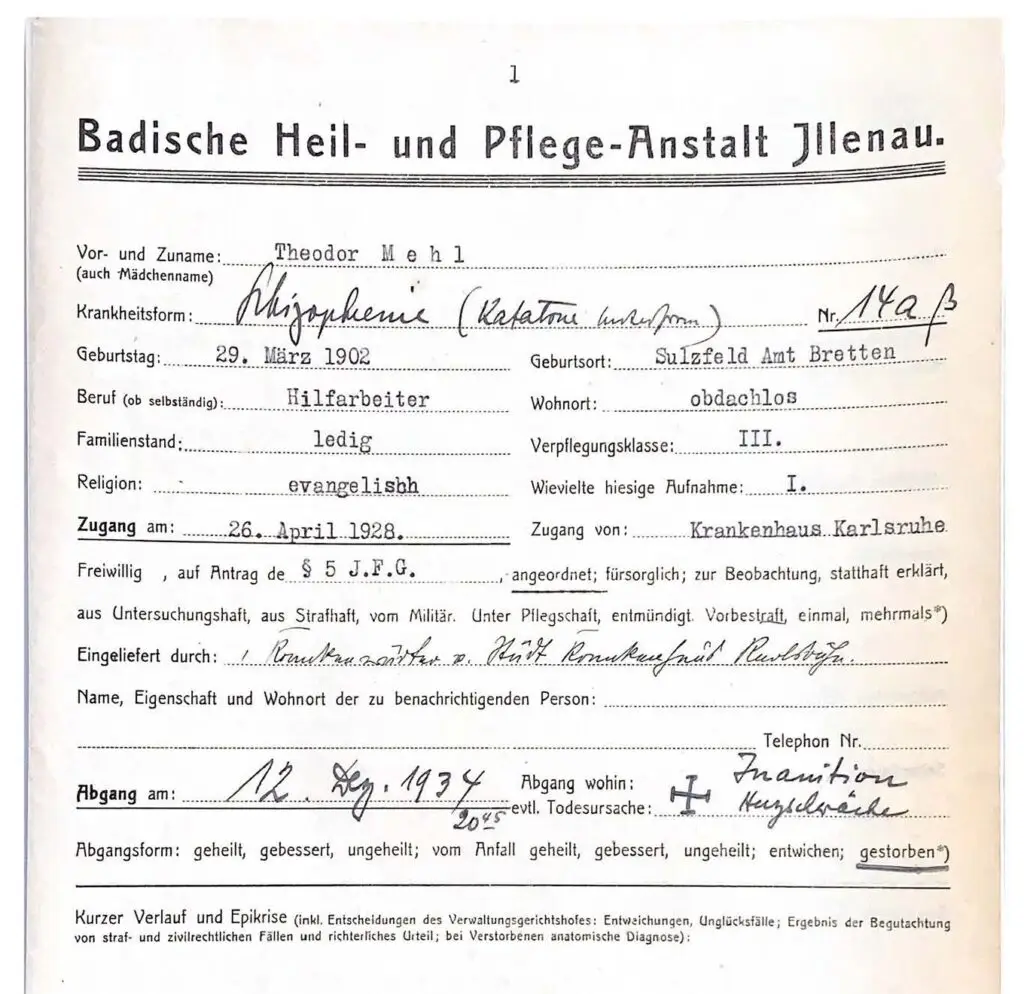 Mehl Theodor
